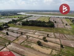 ขายที่ดิน เนื้อที่ 20 ไร่ 2 งาน 54 ตร.วา หนองกี่ บุรีรัมย์-202506111458491749628729024.jpg