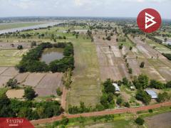 ขายที่ดิน เนื้อที่ 20 ไร่ 2 งาน 54 ตร.วา หนองกี่ บุรีรัมย์-202506111458491749628729598.jpg