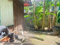 ขายที่ดินพร้อมสิ่งปลูกสร้าง 42 ตรว.-202506111507061749629226335.jpg
