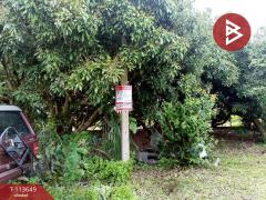 ขายที่ดิน เนื้อที่ 50 ตร.วา เวียงป่าเป้า เชียงราย