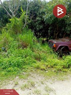 ขายที่ดิน เนื้อที่ 50 ตร.วา เวียงป่าเป้า เชียงราย-202506111544361749631476502.jpg