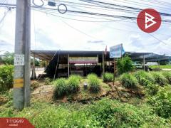 ขายที่ดิน เนื้อที่ 50 ตร.วา เวียงป่าเป้า เชียงราย-202506111544371749631477766.jpg
