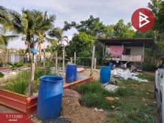 ขายที่ดิน เนื้อที่ 4 ไร่ 1 งาน 68 ตร.วา หนองจอก กรุงเทพมหานคร-202506111558291749632309049.jpg
