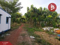 ขายที่ดิน เนื้อที่ 4 ไร่ 1 งาน 68 ตร.วา หนองจอก กรุงเทพมหานคร-202506111558291749632309643.jpg