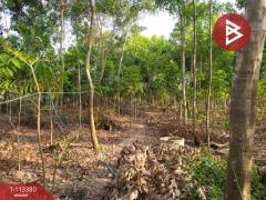 ขายที่ดิน เนื้อที่ 4 ไร่ 1 งาน 68 ตร.วา หนองจอก กรุงเทพมหานคร-202506111558301749632310767.jpg