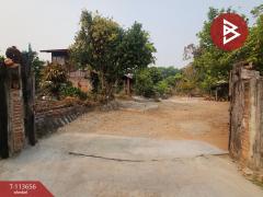 ขายที่ดิน เนื้อที่ 3 งาน 21 ตร.วา ท่าสุด เชียงราย