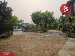 ขายที่ดิน เนื้อที่ 3 งาน 21 ตร.วา ท่าสุด เชียงราย-202506111642401749634960578.jpg