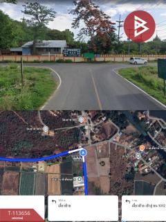 ขายที่ดิน เนื้อที่ 3 งาน 21 ตร.วา ท่าสุด เชียงราย-202506111642421749634962925.jpg