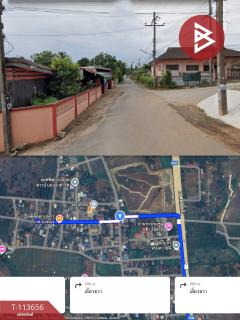 ขายที่ดิน เนื้อที่ 3 งาน 21 ตร.วา ท่าสุด เชียงราย-202506111642441749634964725.jpg