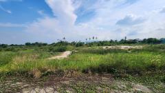 ขายที่ดินแปลงสวย 181 ตร.ว.- 4 ไร่ มี 3 แปลง อ.พานทอง จ.ชลบุรี ใกล้วิทยาลัยอีเทค-202506111707071749636427800.jpg