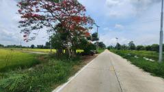 ขายที่ดิน 4 ไร่ หนองแค สระบุรี ใกล้วัดหนองโรง-202506111801011749639661068.jpg