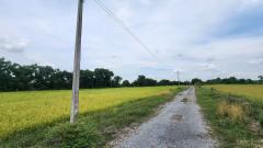 ขายที่ดิน 4 ไร่ หนองแค สระบุรี ใกล้วัดหนองโรง-202506111801021749639662369.jpg