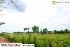 LK-884370 ที่ดินพระยืน 11 ไร่ 61 ตร.ว. ขอนแก่น ใกล้โรงเรียนท่าศาลาประชานุเคราะห์-202506121030031749699003316.jpg