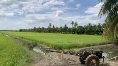 ขายที่ดินแปลงสวย ทำเลทอง ซอยวัดลาดปลาดุก อ.บางบัวทอง จ.นนทบุรี-202506121105341749701134473.jpg