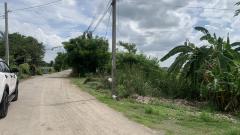 ขายที่ดินแปลงสวย ทำเลทอง ซอยวัดลาดปลาดุก อ.บางบัวทอง จ.นนทบุรี-202506121105351749701135061.jpg