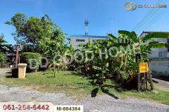 NI-884384 ที่ดินทวีวัฒนา 93.9 ตร.ว. ซ.พุทธมณฑล 27 ใกล้พุทธมณฑล สาย 2-202506121107451749701265715.jpg