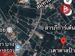 ขายที่ดิน เนื้อที่ 5 ไร่ 66 ตร.วา บางคนที สมุทรสงคราม-202506121158491749704329269.jpg