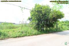 ขายที่ดิน 52 ตรว.พัฒนาชนบท 3 แยก 4 ลาดกระบัง ใกล้สนามบินสุวรรณภูมิ, แอร์ลิงก์ ลาดกระบัง เข้าออก ถ. ศรีนครินทร์-ร่มเกล้า และเลียบมอเตอร์เวย์ ได้-202506121406151749711975319.jpg