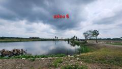 ขายที่ดิน 94-2-90 ไร่ คีรีทอง ต.ธงชัย จ.เพชรบุรี ต่ำกว่าราคาประเมินแบงค์ ทำถนนแล้ว-202506121424261749713066015.jpg