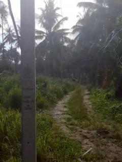 ขายที่ดินทำเลดี เดินทางสะดวก ใกล้หาดแสงอรุณ ห่างจากถนนเพชรเกษมเพียง 800 เมตร ทับสะแก ประจวบคีรีขันธ์-202506121438221749713902737.jpg