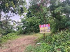 ขายที่ดิน 2ไร่  ซอยคลองห้าตะวันออก38  คลองหลวง  ปทุมธานี-202506121447031749714423613.jpg