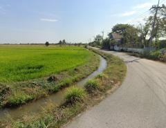 ขายที่ดินบางขวัญแปดริ้ว 22 ไร่ ซอยบางขวัญ18/1 ใกล้ถนนวงแหวนเลี่ยงเมือง365-2กม. เมืองฉะเชิงเทรา-202506121607031749719223201.jpg
