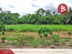 ขายที่ดิน ซ.เทพกุญชร21 เนื้อที่ 1 ไร่ คลองหลวง ปทุมธานี-202506121632471749720767737.jpg