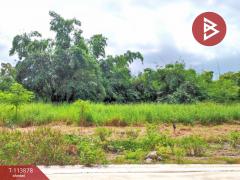 ขายที่ดิน ซ.เทพกุญชร21 เนื้อที่ 1 ไร่ คลองหลวง ปทุมธานี-202506121632491749720769827.jpg