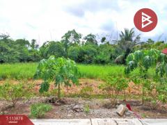 ขายที่ดิน ซ.เทพกุญชร21 เนื้อที่ 1 ไร่ คลองหลวง ปทุมธานี-202506121632501749720770385.jpg
