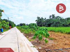 ขายที่ดิน ซ.เทพกุญชร21 เนื้อที่ 1 ไร่ คลองหลวง ปทุมธานี-202506121632521749720772060.jpg