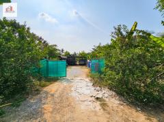 ขาย ที่ดิน ใกล้ถนนบรมราชชนนีเพียง 2 กม. ใกล้วัดดอนหวาย นครปฐม ต.ทรงคนอง อ.สามพราน 2 ไร่ 97 ตรว-202506121723251749723805870.jpg
