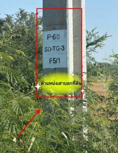 ขายที่ดิน 11 ไร่ 41 ตร.ว. ติดถนน โพธาราม- จังหวัดราชบุรี-202506121836311749728191132.jpg