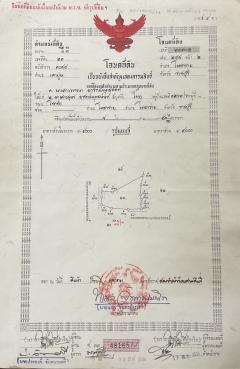 ขายที่ดิน 11 ไร่ 41 ตร.ว. ติดถนน โพธาราม- จังหวัดราชบุรี-202506121836331749728193422.jpg