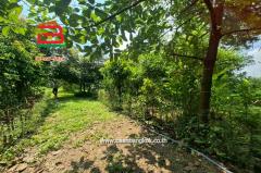 ที่ดิน ถมแล้ว ซอยประชาร่วมใจ 57 เนื้อที่ 1 ไร่ ถนนประชาร่วมใจ แขวงทรายกองดินใต้ เขตคลองสามวา กรุงเทพมหานคร-202506131856461749815806992.jpg
