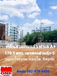 vายที่ดินสวยถมแล้ว ซอยพระตำหนัก 5 พัทยา พื้นที่ 179.1 ตรว. หลังโรงแรมหรู เหมาะทำโรงแรม คอนโด APT รีสอร์ท #ที่ดินทำเลทอง #ที่ดินเขาพระตำหนัก 