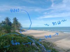 ที่ติดทะเลหายาก ติดหาดยาว 47 +20 เมตร 1 ไร่ 3 ล้านบาท-202506142327021749918422842.jpg