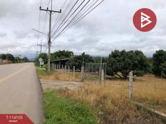 ขายที่ดิน เนื้อที่ 4 ไร่ 3 งาน 50 ตร.วา ป่าแดด เชียงราย-202506151417261749971846981.jpg