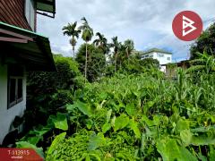 ขายที่ดิน เนื้อที่ 80 ตร.วา หนองแขม กรุงเทพมหานคร-202506161032041750044724058.jpg