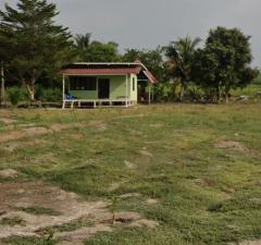 ที่ดินสวย ทำเลสงบ ร่มรื่น ใจกลางกรุงเทพฯ – หนองจอก