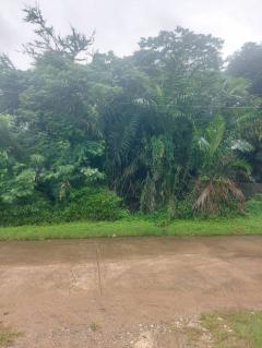 ขายที่ดิน 200 ตร.ว. หมู่บ้านเอื้อสุข พัฒนาการ 58 ซอย 6 ใกล้ถนนศรีนครินทร์