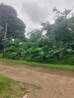 ขายที่ดิน 200 ตร.ว. หมู่บ้านเอื้อสุข พัฒนาการ 58 ซอย 6 ใกล้ถนนศรีนครินทร์-202506161406111750057571883.jpg