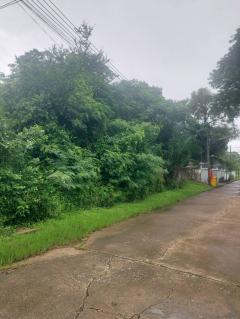 ขายที่ดิน 200 ตร.ว. หมู่บ้านเอื้อสุข พัฒนาการ 58 ซอย 6 ใกล้ถนนศรีนครินทร์-202506161406121750057572448.jpg