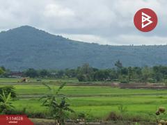 ขายที่ดินติดทางหลวงสาย พาน-ป่าแดด เชียงราย