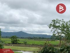 ขายที่ดินติดทางหลวงสาย พาน-ป่าแดด เชียงราย-202506161433041750059184108.jpg
