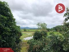 ขายที่ดินติดทางหลวงสาย พาน-ป่าแดด เชียงราย-202506161433051750059185068.jpg