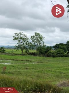 ขายที่ดินติดทางหลวงสาย พาน-ป่าแดด เชียงราย-202506161433051750059185626.jpg