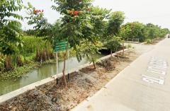 ขายที่ดินติดคลอง นครชัยศรี – ราคาพิเศษ-202506161455061750060506468.jpg