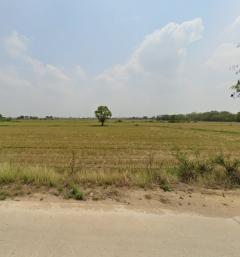 ขายที่ดิน 5 ไร่ 2 งาน 16 ตารางวา-202506161606541750064814438.jpg