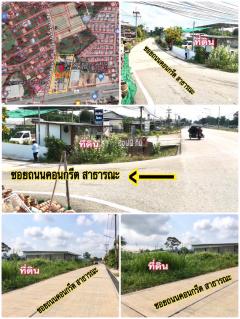 ***ขายที่ดินทำเงิน บางสเร่***-202506161955381750078538922.jpg