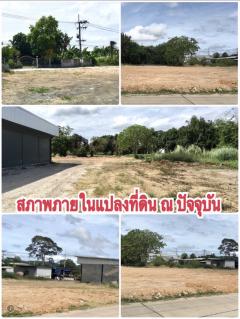 ***ขายที่ดินทำเงิน บางสเร่***-202506161955401750078540152.jpg